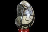 Septarian Dragon Egg Geode - Black Crystals #89584-2